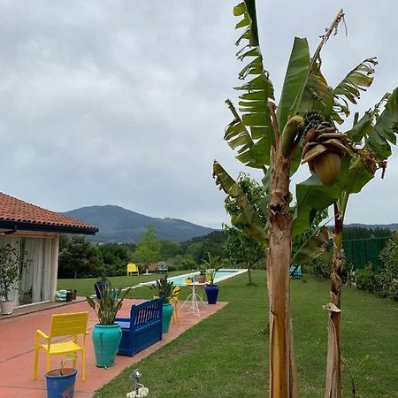 דירות Igartua Habitacion En La Naturaleza 1 מראה חיצוני תמונה